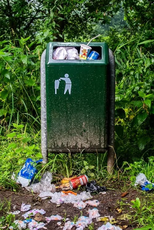 Person collecting litter on a beach